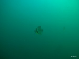 GOPR0022