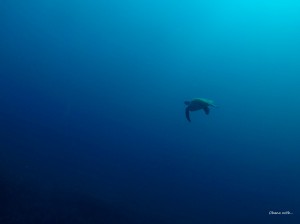 GOPR0048