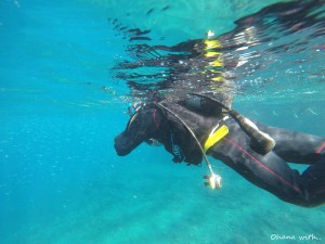 DCIM100GOPROGOPR0022.JPG