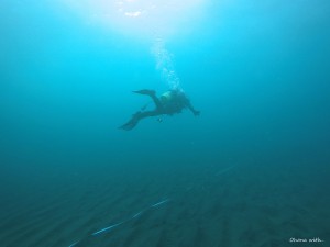 DCIM101GOPROGOPR1539.JPG