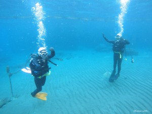 DCIM101GOPROGOPR1556.JPG