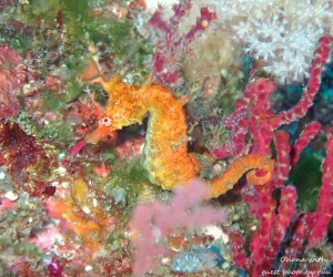 P1230769