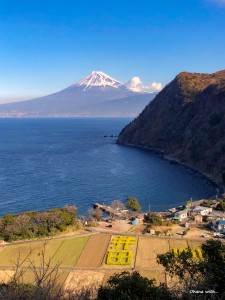 line_oa_chat_220131_201953
