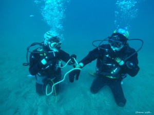 DCIM100GOPROGOPR0021.JPG