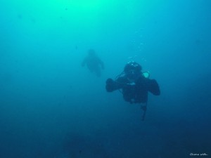 DCIM101GOPROGOPR2663.JPG