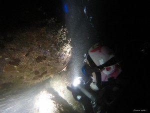 DCIM101GOPROGOPR2674.JPG