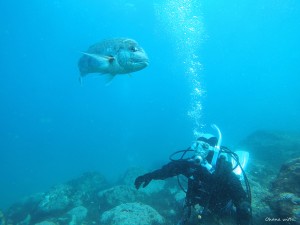 DCIM100GOPROGOPR1441.JPG