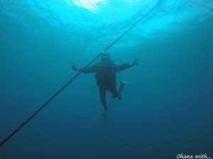 line_oa_chat_220317_165527