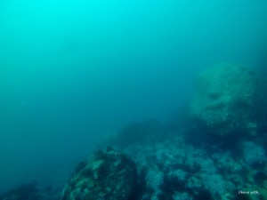 S__475201553
