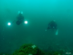 S__477405191