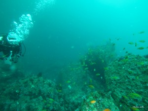 G0033448