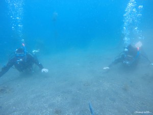 DCIM100GOPROGOPR3778.JPG