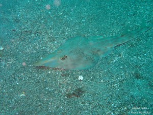 P6040042