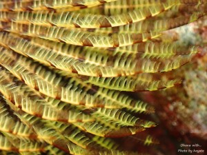 P7022998