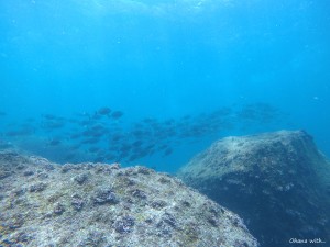 DCIM100GOPROGOPR0084.JPG