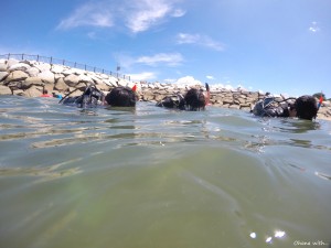 DCIM100GOPROGOPR0415.JPG