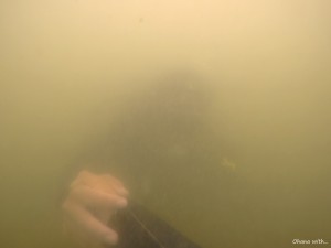 DCIM100GOPROGOPR0440.JPG