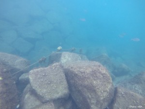 DCIM100GOPROGOPR0669.JPG