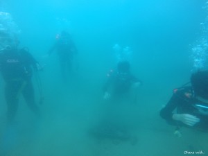 DCIM100GOPROGOPR0671.JPG