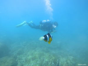 DCIM100GOPROGOPR0741.JPG