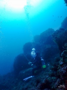 P8221151