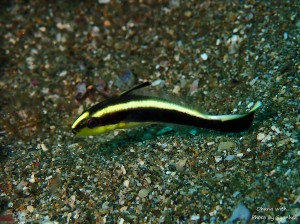 line_oa_chat_220828_185428
