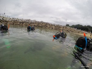 GOPR0017