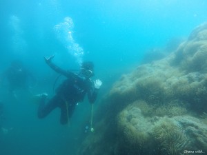 DCIM100GOPROGOPR0042.JPG