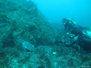 DCIM100GOPROGOPR0044.JPG