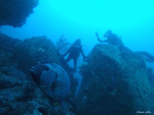 DCIM100GOPROGOPR0055.JPG