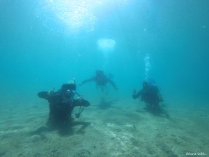 DCIM100GOPROGOPR1441.JPG