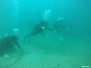 DCIM100GOPROGOPR1455.JPG