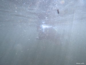 DCIM100GOPROGOPR2008.JPG
