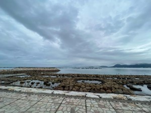 S__23289864