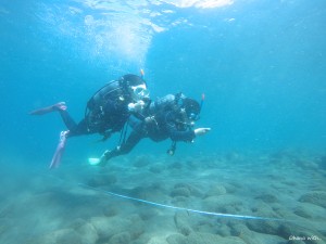 DCIM100GOPROGOPR2076.JPG