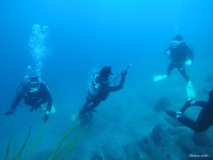 DCIM100GOPROGOPR2623.JPG