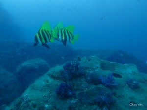G0390192