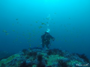 DCIM100GOPROGOPR4362.JPG