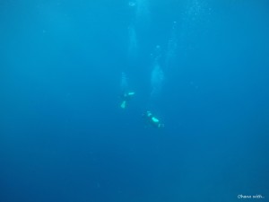 DCIM100GOPROGOPR0043.JPG