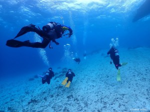 LINE_ALBUM_20230116_230118_12