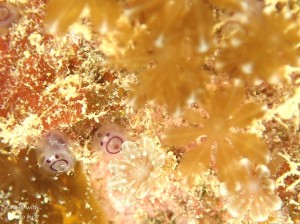 LINE_ALBUM_20230116_230118_31