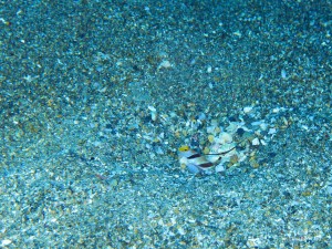 P1011407