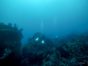 G0050016