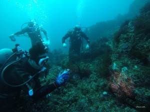 GOPR0018