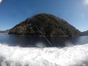 DCIM100GOPROGOPR6263.JPG