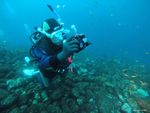 DCIM100GOPROGOPR6337.JPG