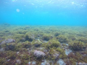 DCIM100GOPROGOPR6345.JPG