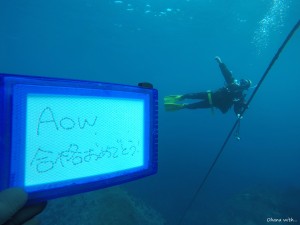 DCIM100GOPROGOPR6386.JPG