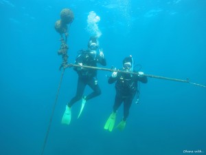 DCIM100GOPROGOPR6440.JPG