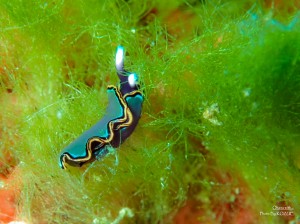 LINE_ALBUM_20230217_230217_140